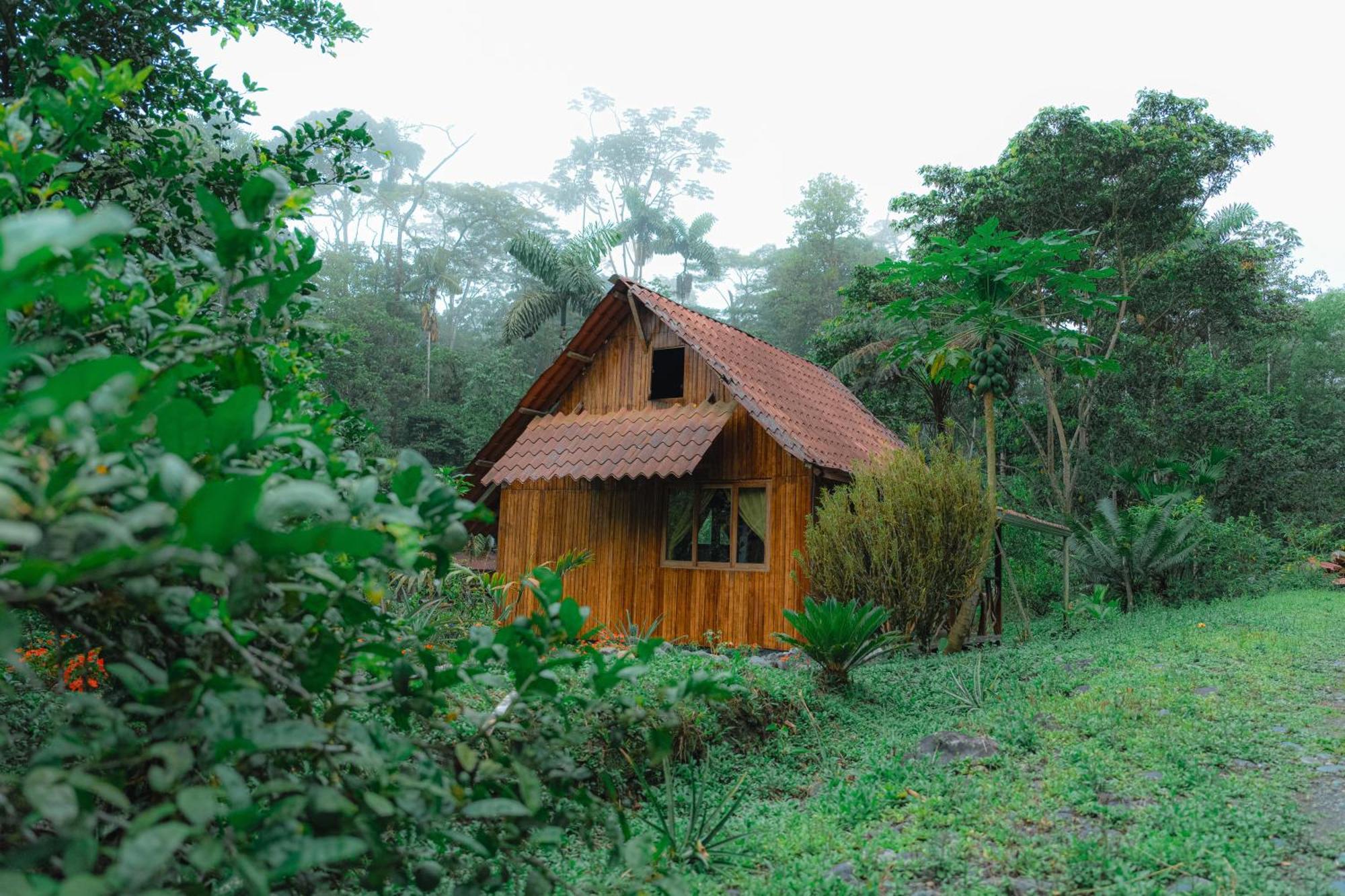 Finca Las Palmas Ecolodge Puyo Exterior foto
